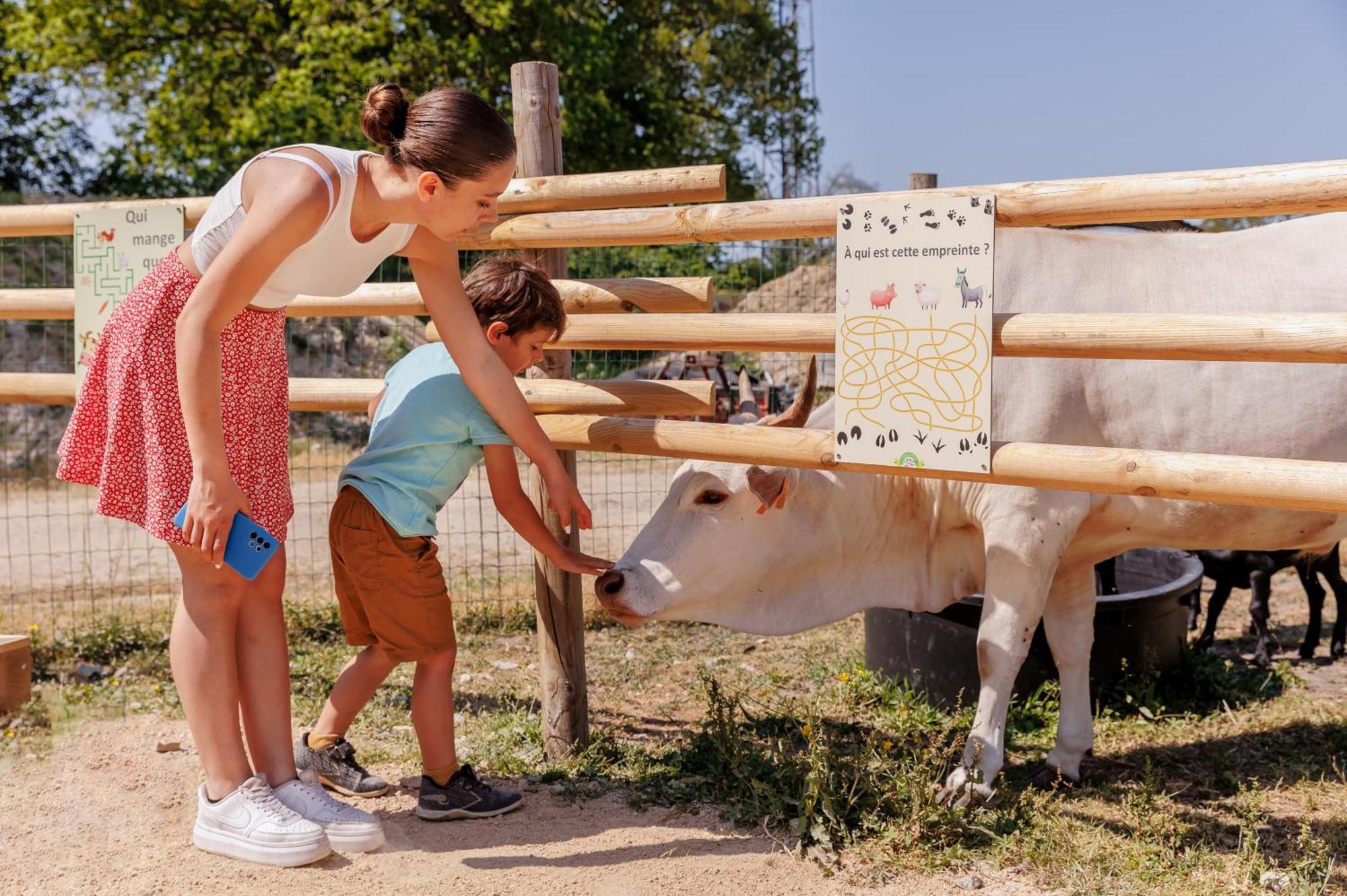 Camping Le Bois Joli Ξενοδοχείο Εξωτερικό φωτογραφία